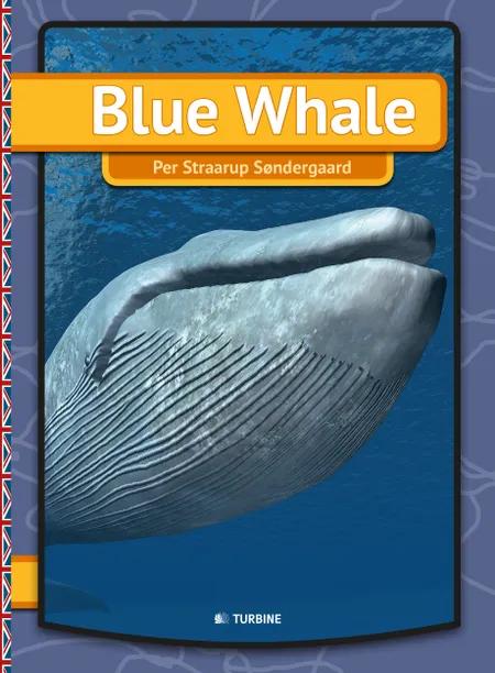 Blue whale af Per Straarup Søndergaard