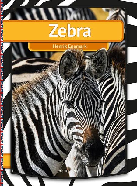 Zebra af Henrik Enemark