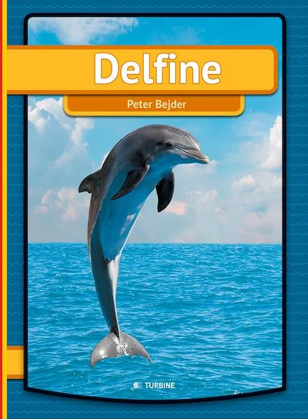 Delfine 