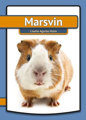 Marsvin af Lisette Agerbo Holm