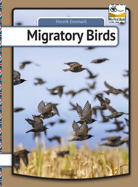 Migratory birds af Henrik Enemark