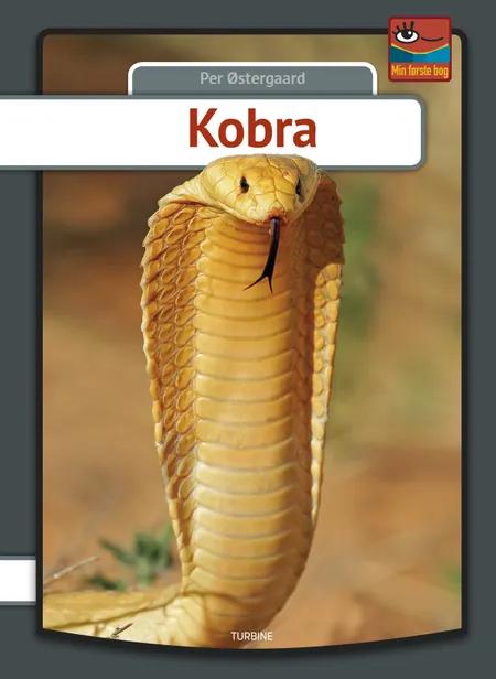 Kobra af Per Østergaard