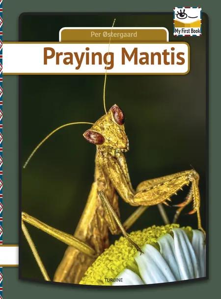 Praying mantis af Per Østergaard