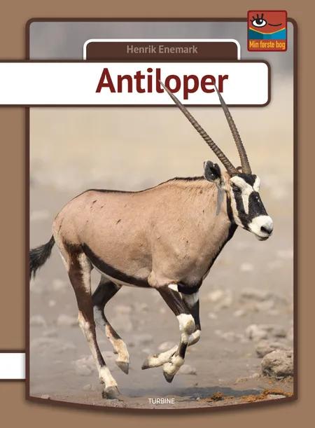 Antiloper af Henrik Enemark