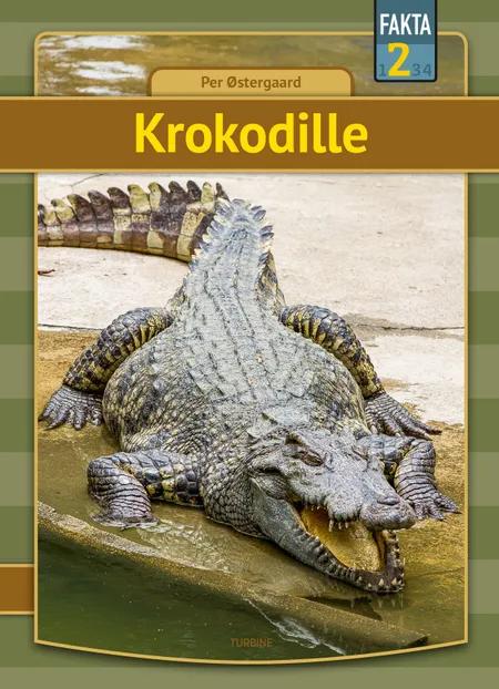 Krokodille af Per Østergaard