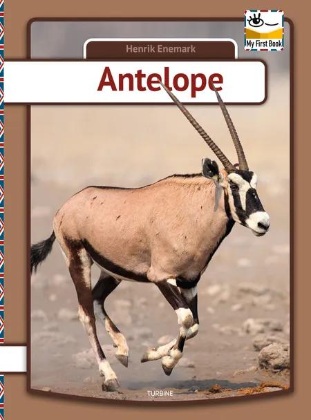Antelope af Henrik Enemark