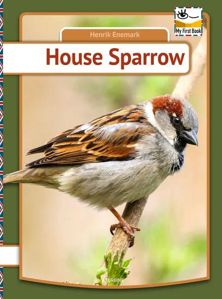 House Sparrow af Henrik Enemark