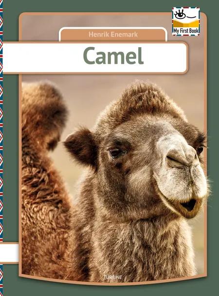 Camel af Henrik Enemark
