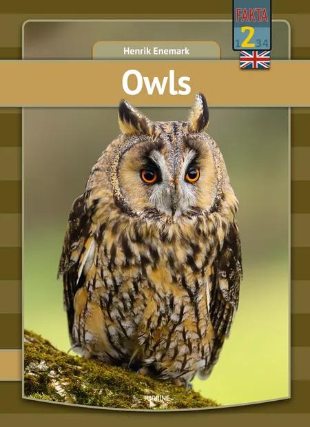 Owls af Henrik Enemark