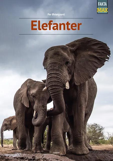 Elefanter af Per Østergaard