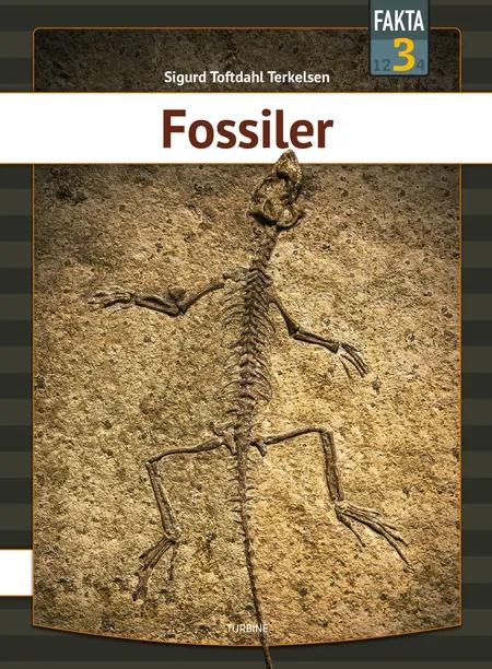Fossiler af Sigurd Toftdahl Terkelsen