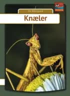 Knæler