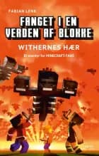 Fanget i en verden af blokke 3