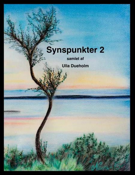 Synspunkter 2 af Ulla Dueholm