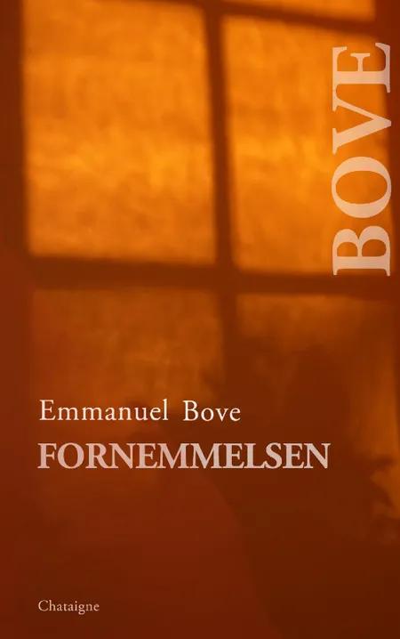 Fornemmelsen af Emmanuel Bove