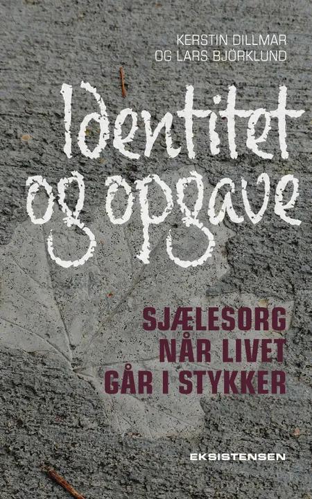 Identitet og opgave af Lars Björklund