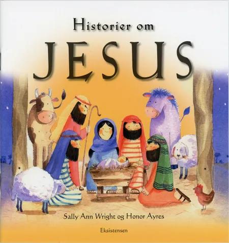 Historier om Jesus af Sally Ann Wright