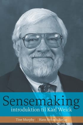 Sensemaking af Tine Murphy