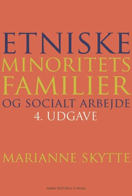 Etniske minoritetsfamilier og socialt arbejde af Marianne Skytte