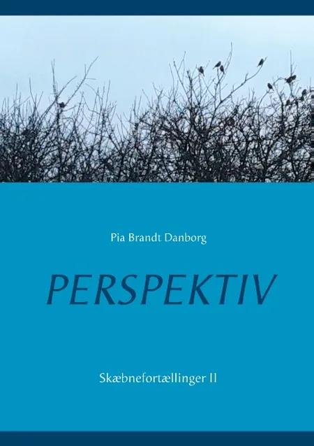 Perspektiv af Pia Brandt Danborg