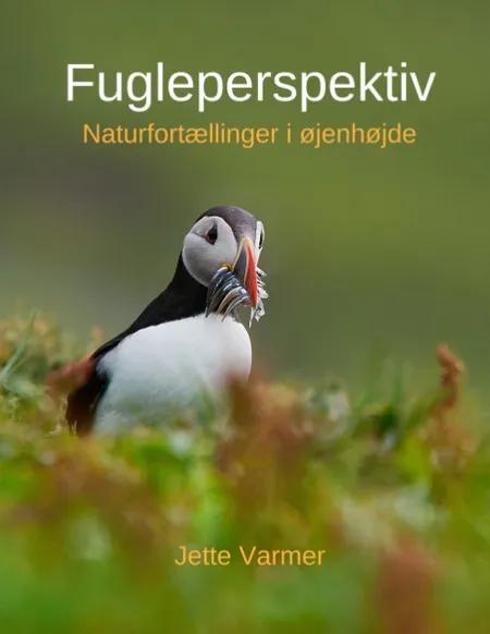 Fugleperspektiv af Jette Varmer