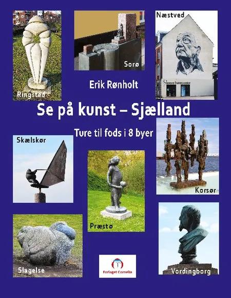 Se på kunst - Sjælland af Erik Rønholt