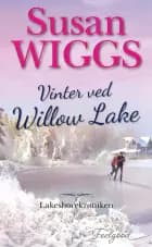 Vinter ved Willow Lake