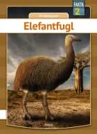 Elefantfugl