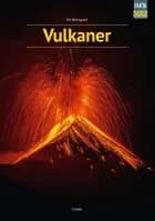 Vulkaner