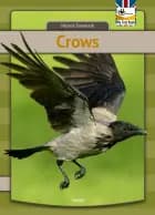 Crows