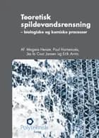 Teoretisk spildevandsrensning