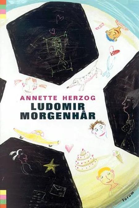Ludomir Morgenhår af Annette Herzog