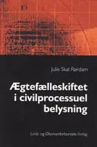 Ægtefælleskiftet i civilprocessuel belysning