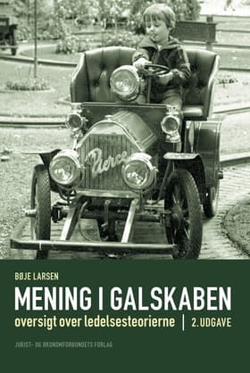 Mening i galskaben af Bøje Larsen