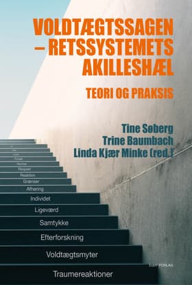 Voldtægtssagen - retssystemets akilleshæl af Tine Søberg (red.)