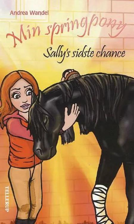 Sally's sidste chance af Andrea Wandel