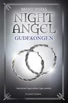 Night Angel #2: Gudekongen