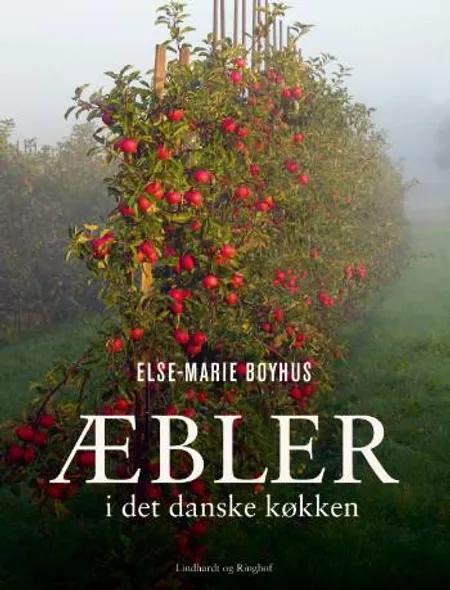 Æbler i det danske køkken af Else-Marie Boyhus