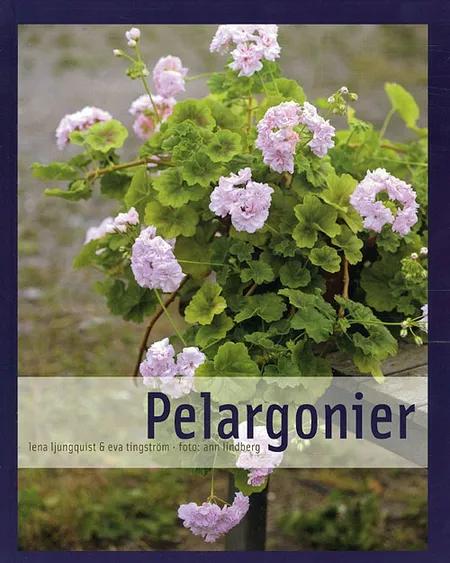 Pelargonier af Tingström