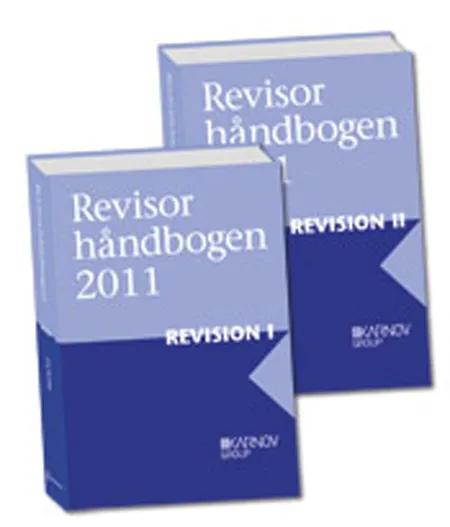 Revisorhåndbogen 2011, Revision af FSR