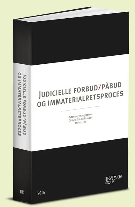 Judicielle forbud/påbud om immaterialretsproces af Clement Salung Petersen
