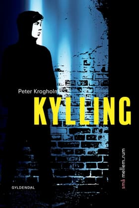 små mellem_rum. Kylling af Peter Krogholm