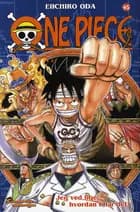 One Piece 45: Jeg ved lige, hvordan I har det!