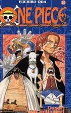 One Piece 25 - Dusør: 100 millioner