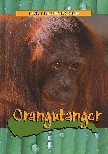 Orangutanger 