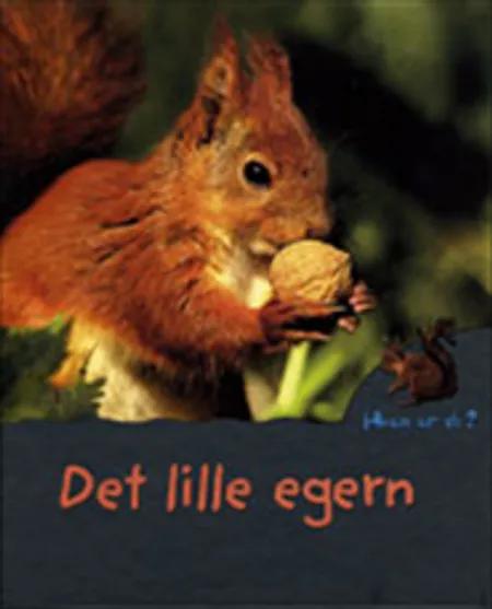 Det lille egern af Mireille Fronty