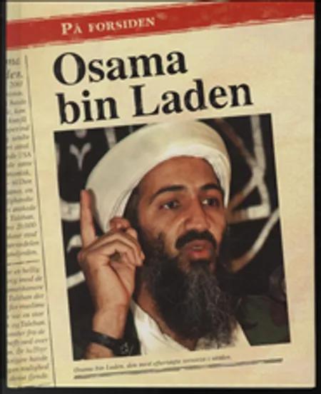 Osama bin Laden af Sean Stewart Price