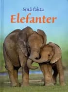 Små fakta: Elefanter