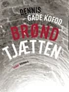 Brøndtjætten