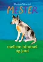 Mester mellem himmel og jord